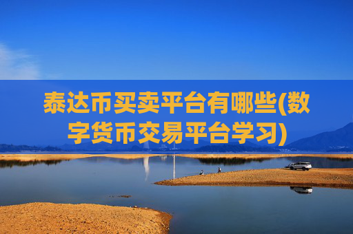 泰达币买卖平台有哪些(数字货币交易平台学习)