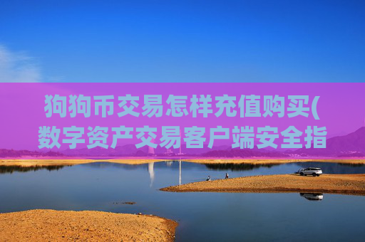 狗狗币交易怎样充值购买(数字资产交易客户端安全指南)