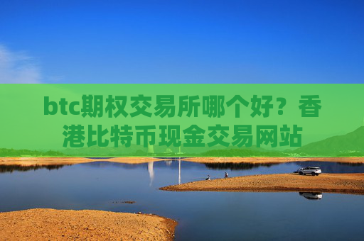 btc期权交易所哪个好?香港比特币现金交易网站