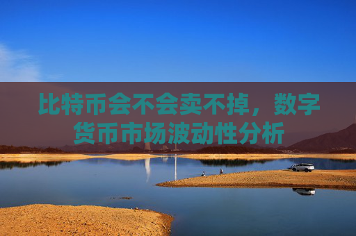 比特币会不会卖不掉，数字货币市场波动性分析