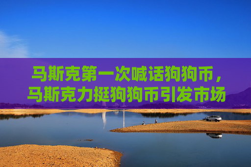 马斯克第一次喊话狗狗币,马斯克力挺狗狗币引发市场关注