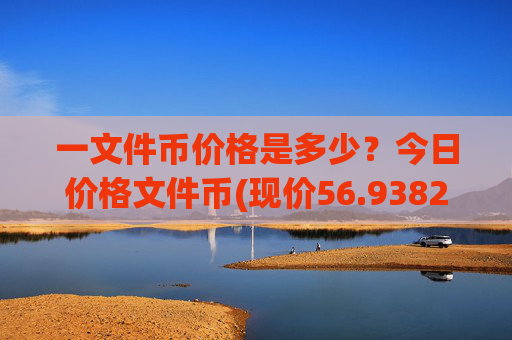 一文件币价格是多少？今日价格文件币(现价56.9382元)