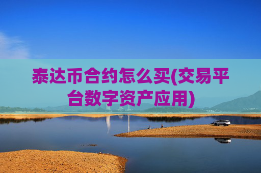泰达币合约怎么买(交易平台数字资产应用)