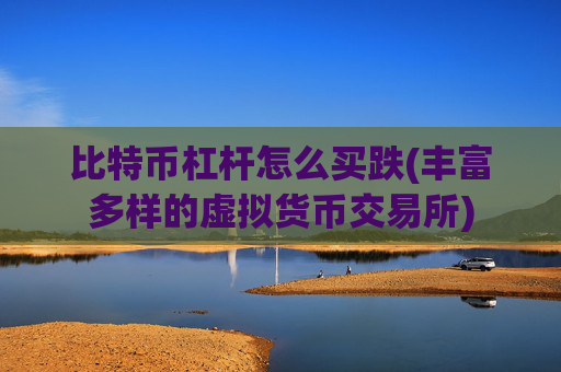 比特币杠杆怎么买跌(丰富多样的虚拟货币交易所)