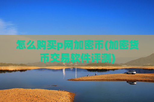 怎么购买p网加密币(加密货币交易软件评测)