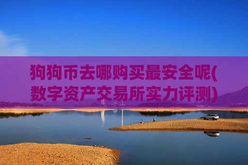 狗狗币去哪购买最安全呢(数字资产交易所实力评测)