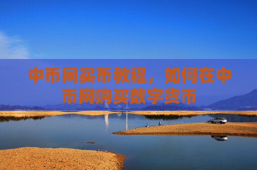 中币网买币教程，如何在中币网购买数字货币