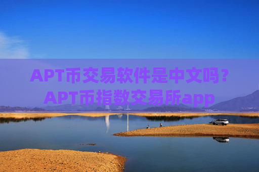 APT币交易软件是中文吗?APT币指数交易所app
