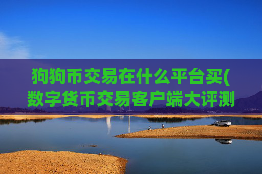 狗狗币交易在什么平台买(数字货币交易客户端大评测)