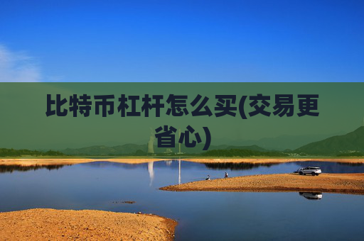 比特币杠杆怎么买(交易更省心)