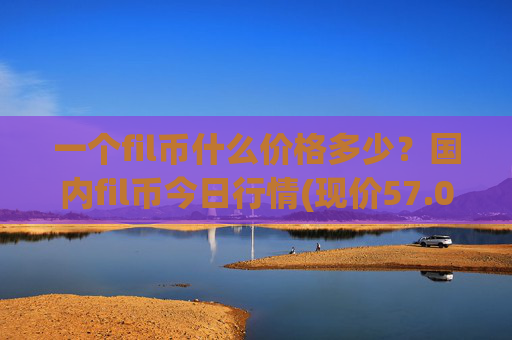 一个fil币什么价格多少？国内fil币今日行情(现价57.0853元)