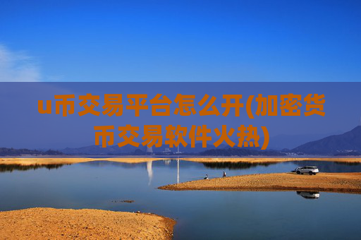 u币交易平台怎么开(加密货币交易软件火热)