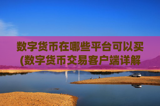 数字货币在哪些平台可以买(数字货币交易客户端详解)