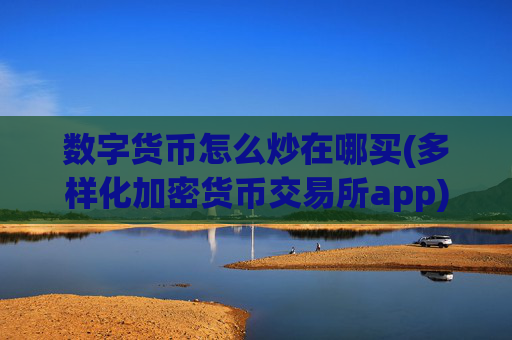 数字货币怎么炒在哪买(多样化加密货币交易所app)