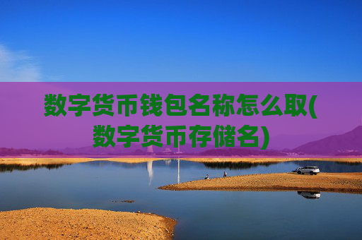 数字货币钱包名称怎么取(数字货币存储名)