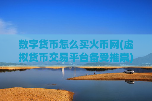 数字货币怎么买火币网(虚拟货币交易平台备受推崇)