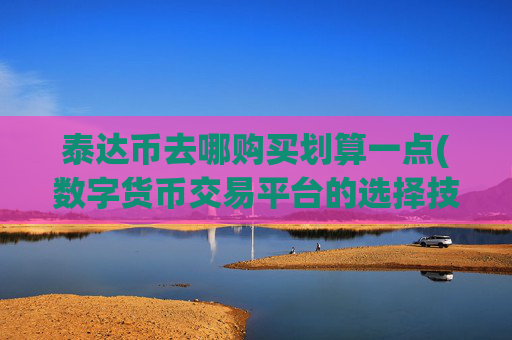 泰达币去哪购买划算一点(数字货币交易平台的选择技巧)