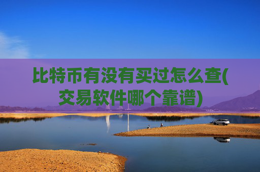 比特币有没有买过怎么查(交易软件哪个靠谱)