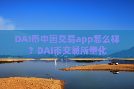 DAI币中国交易app怎么样？DAI币交易所量化