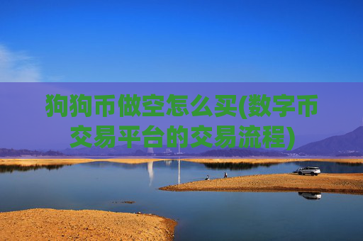 狗狗币做空怎么买(数字币交易平台的交易流程)