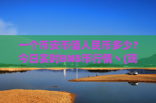 一个币安币值人民币多少?今日实时BNB币行情丶(现价5268.65元)