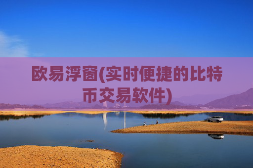 欧易浮窗(实时便捷的比特币交易软件)