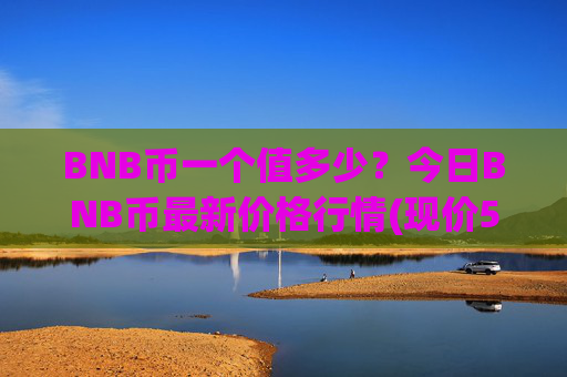 BNB币一个值多少?今日BNB币最新价格行情(现价5305.04元)