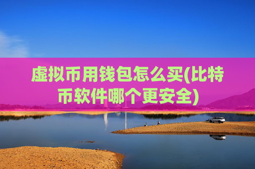 虚拟币用钱包怎么买(比特币软件哪个更安全)