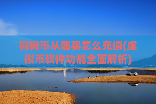 狗狗币从哪买怎么充值(虚拟币软件功能全面解析)