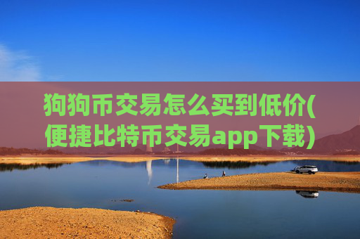 狗狗币交易怎么买到低价(便捷比特币交易app下载)