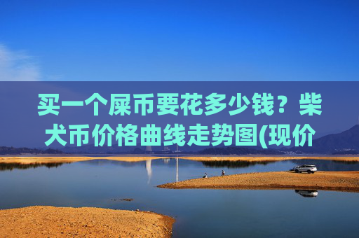 买一个屎币要花多少钱?柴犬币价格曲线走势图(现价0.00022536元)