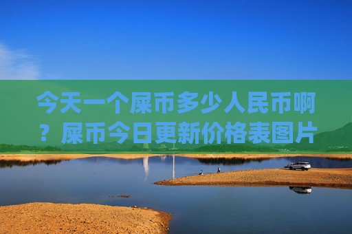 今天一个屎币多少人民币啊？屎币今日更新价格表图片(现价0.00022267元)