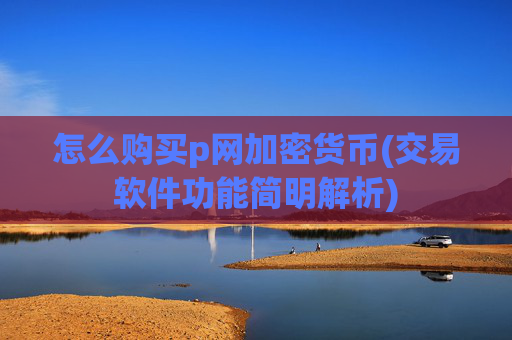 怎么购买p网加密货币(交易软件功能简明解析)
