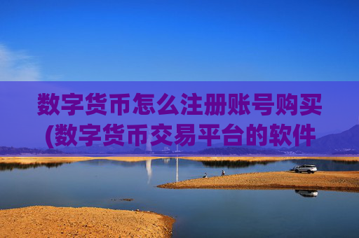 数字货币怎么注册账号购买(数字货币交易平台的软件选择)