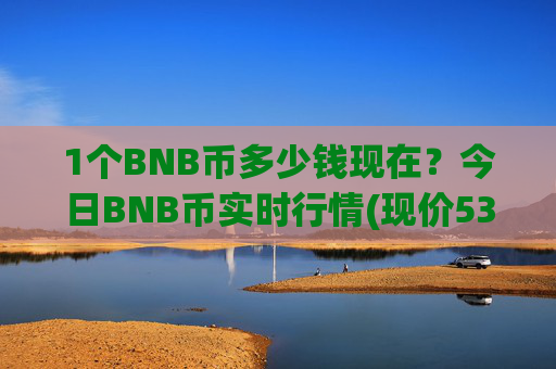 1个BNB币多少钱现在?今日BNB币实时行情(现价5310.45元)