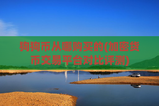 狗狗币从哪购买的(加密货币交易平台对比评测)
