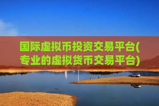 国际虚拟币投资交易平台(专业的虚拟货币交易平台)