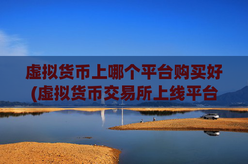 虚拟货币上哪个平台购买好(虚拟货币交易所上线平台)