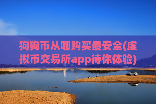 狗狗币从哪购买最安全(虚拟币交易所app待你体验)