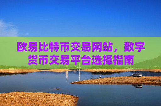 欧易比特币交易网站，数字货币交易平台选择指南