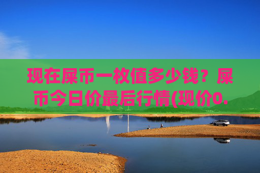 现在屎币一枚值多少钱?屎币今日价最后行情(现价0.00022216元)