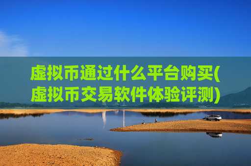 虚拟币通过什么平台购买(虚拟币交易软件体验评测)