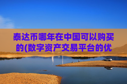 泰达币哪年在中国可以购买的(数字资产交易平台的优势比较)