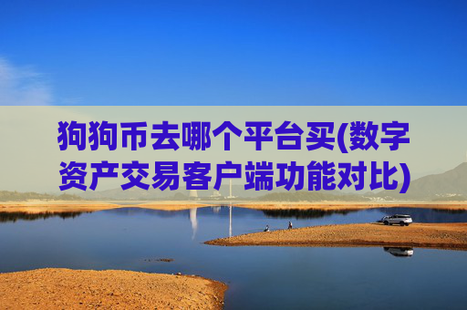 狗狗币去哪个平台买(数字资产交易客户端功能对比)