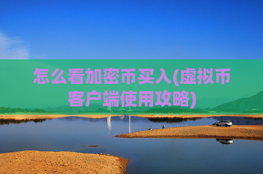 怎么看加密币买入(虚拟币客户端使用攻略)