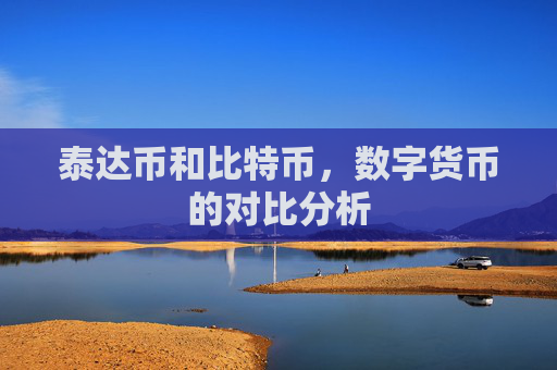 泰达币和比特币,数字货币的对比分析