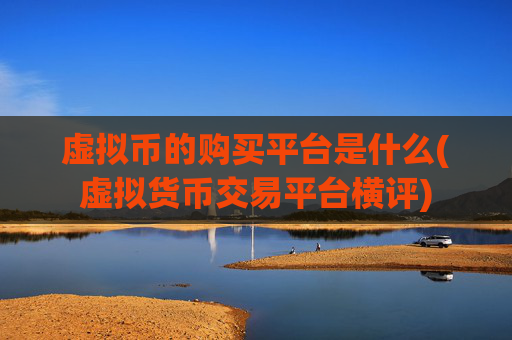 虚拟币的购买平台是什么(虚拟货币交易平台横评)