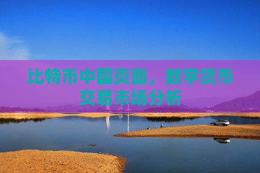 比特币中国页面,数字货币交易市场分析