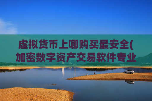 虚拟货币上哪购买最安全(加密数字资产交易软件专业)