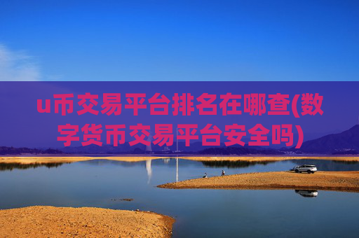 u币交易平台排名在哪查(数字货币交易平台安全吗)